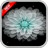 Galaxy Flowers Live Wallpapers icon