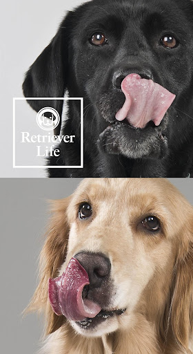 Android application Retriever Life（レトリーバーライフ） screenshort