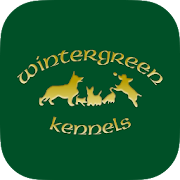 Wintergreen Kennels