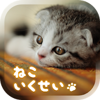 猫の癒し育成ゲーム3d 無料 Androidアプリ Applion