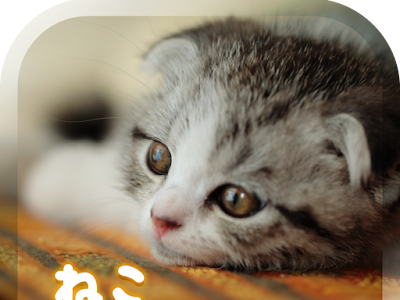 √無料でダウンロード！ �� 画像 癒し 無料 169665-猫 ��像 癒し 無料