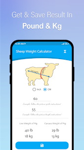 Pig Weight Calculator