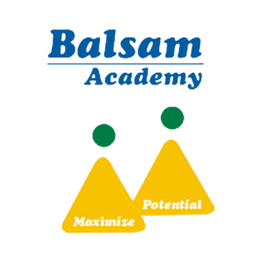 Balsam Academy Ranipet logo