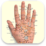 Acupressure: Self Healing Massage Therapy (TCM) icon