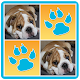 Dogs Memory Matching Pairs Game - Brain Training विंडोज़ पर डाउनलोड करें