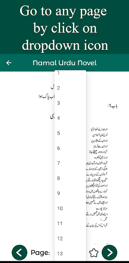 Kube Namal Urdu Novel screenshot 4