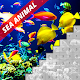 Sea Animal Pixel Coloring By Number