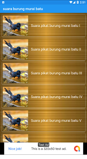 suara burung murai batu Screen 2