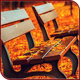 HD Autumn Wallpapers - 2018 icon