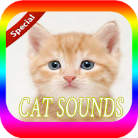 Cat Sounds Mp3