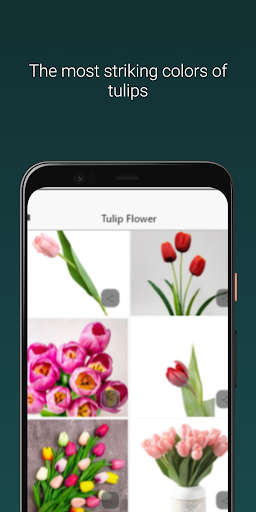 Mothers Day Flowers Screen 3