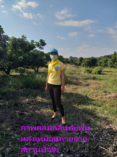 Android application แอปเปลี่ยนพื้นหลัง screenshort