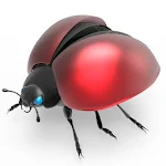 Cover Image of ダウンロード Lucky Ladybug 5.6 APK