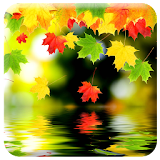 Live Autumn Wallpapers icon