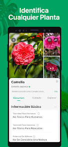 Captura de pantalla