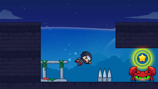 Ninja Stupid 5