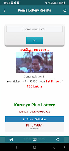 Kerala Lottery Results Chart Screen 3