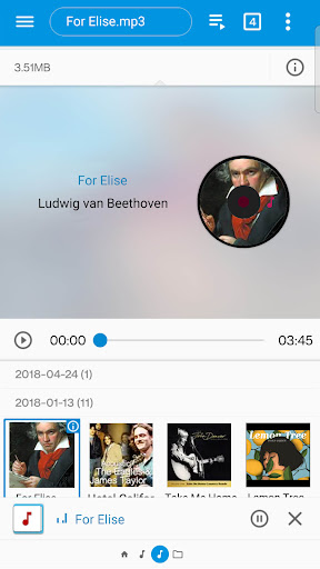 Screenshot of fooViewTheme - ES Classics
