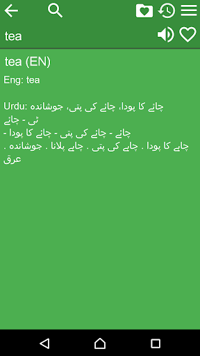 English Urdu Dictionary Screen 2