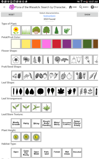 Screenshot of Flora of the Wasatch