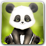 Panda Bobble Live Wallpaper icon