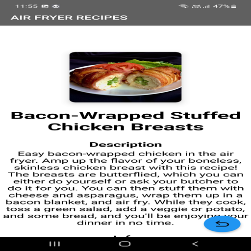 Air Fryer Recipes Screen 2