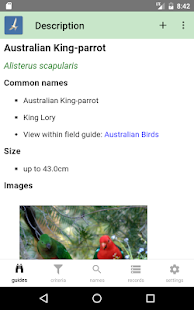 Australian Birds Guide