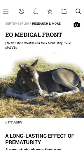 Equus Screen 2