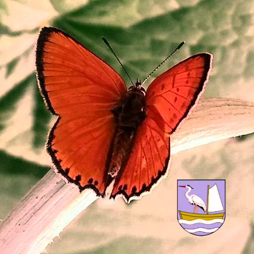KtG Wydminy logo