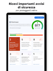 Immagine screenshot