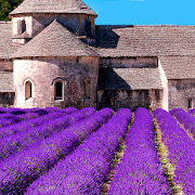 Provence's Best: France Travel Guide