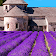Provence's Best: France Travel Guide icon