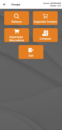 DS Estoque Screen 2
