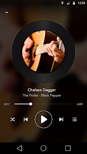 My Music Player For PC 2