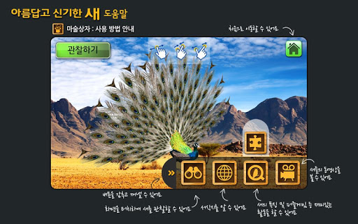 블루래빗새 - AR Screen 2
