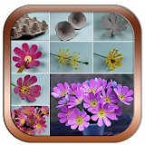 How to flower arrangement icon