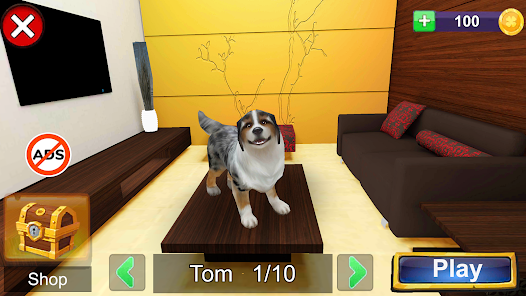 Play Cat vs Dog Online Games for Free at Gimori