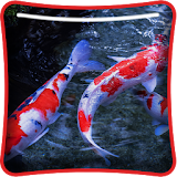 KOI Fish Live Wallpaper icon
