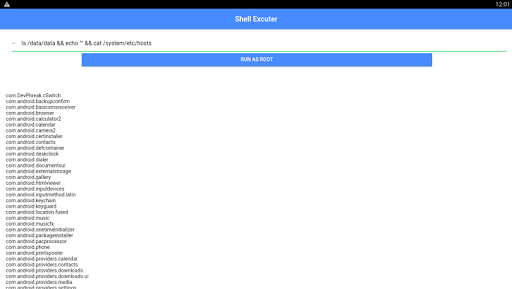 Root Shell Executor