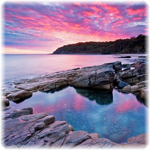 Nature Jigsaw Puzzle Logo