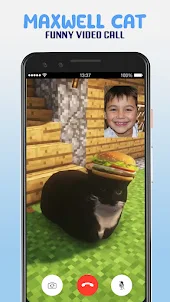 Maxwell Cat Funny Video Call