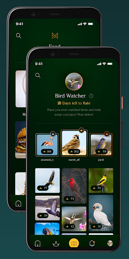 Android application MirrorMirror Challenge screenshort