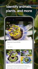 Google Lens Apps On Google Play