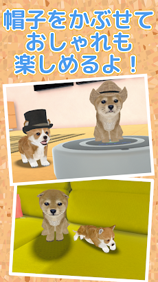 子犬のかわいい育成ゲーム 癒しの犬育成アプリ Androidアプリ Applion