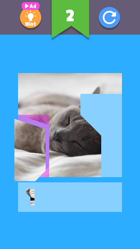 Cat puzzle kids jigsaw