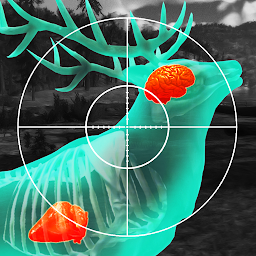 圖示圖片：Wild Hunt： 打獵遊戲-立體打獵與射擊