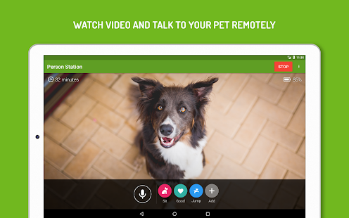 Dog Monitor: Puppy video cam Screenshot