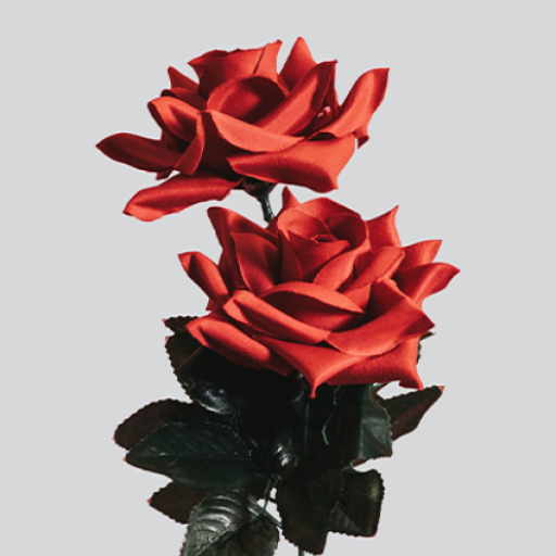 Rose Wallpaper HD, GIF logo