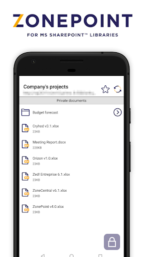 ZonePoint Screen 2