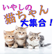 癒しの猫ちゃん大集合１ - Androidアプリ